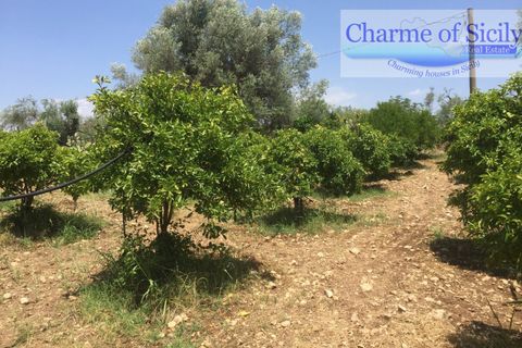 Helårsgrund i Rosolini, Siracusa, Rosolini - € 150.000 | Ref: SC 05 - foto 18