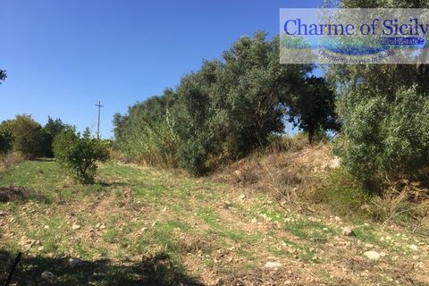 Helårsgrund i Rosolini, Siracusa, Rosolini - € 150.000 | Ref: SC 05 - foto 19