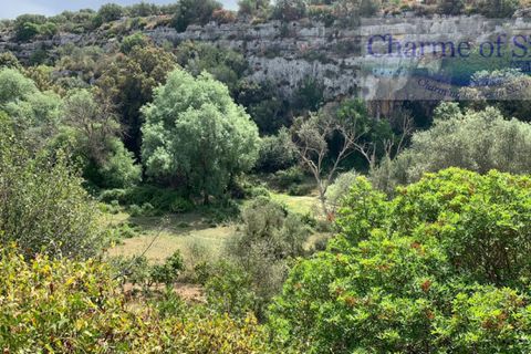 Helårsgrund i Rosolini, Siracusa, Rosolini - € 150.000 | Ref: SC 05 - foto 21