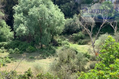 Helårsgrund i Rosolini, Siracusa, Rosolini - € 150.000 | Ref: SC 05 - foto 22