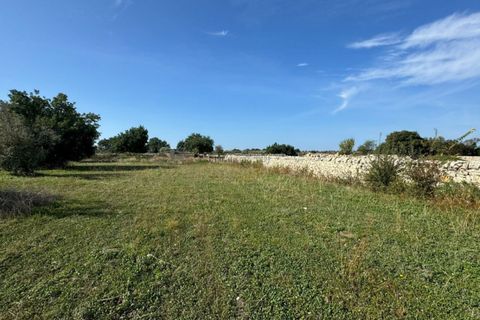 Villa i Modica, Ragusa, Modica - € 120.000 | Ref: L 2023 - foto 42