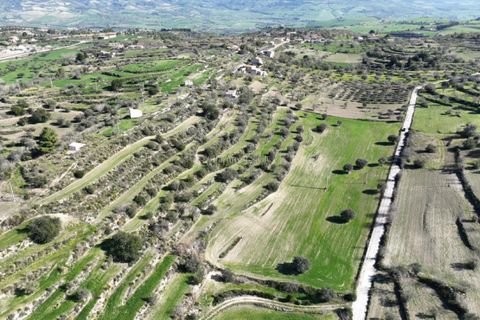 Villa i Ragusa, Ragusa, Ragusa - € 90.000 | Ref: L 2061 - foto 21