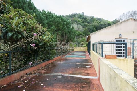 Farm i Almocageme, Lisbon, Almocageme - € 935.000 | Ref: ZMPT573540 - foto 27