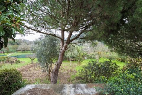 Farm i Almocageme, Lisbon, Almocageme - € 935.000 | Ref: ZMPT573540 - foto 28