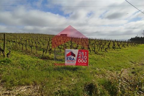 Terra a Carvalhal, Leiria, Carvalhal - € 550.000 | Ref: 130250018 - foto 11