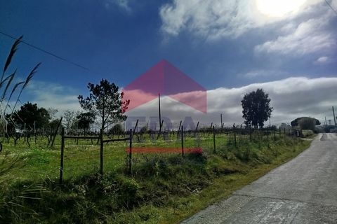 Helårsgrund i Carvalhal, Leiria, Carvalhal - € 200.000 | Ref: 130250017 - foto 3
