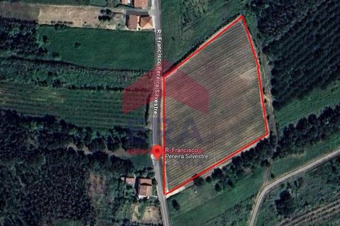 Helårsgrund i Carvalhal, Leiria, Carvalhal - € 200.000 | Ref: 130250017 - foto 8