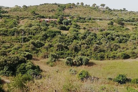 Terra a Castelsardo, Sassari, Castelsardo - € 60.000 | Ref: Terreno - foto 4
