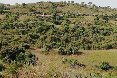 Terra a Castelsardo, Sassari, Castelsardo - € 60.000 | Ref: Terreno - foto 6