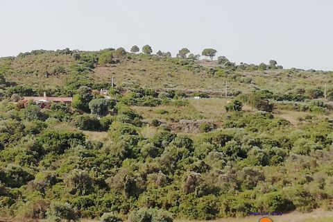 Terra a Castelsardo, Sassari, Castelsardo - € 60.000 | Ref: Terreno - foto 7