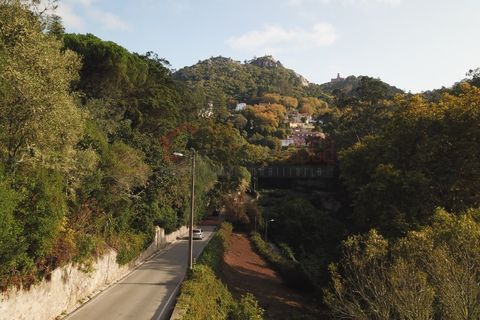 Byhus i Sintra, Lisbon, Sintra - € 1.200.000 | Ref: 613/2025 - foto 8