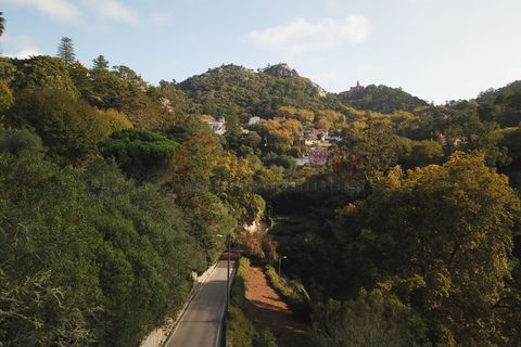 Byhus i Sintra, Lisbon, Sintra - € 1.200.000 | Ref: 613/2025 - foto 9