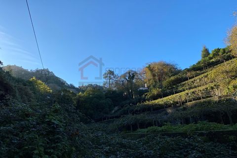 Byhus i Sintra, Lisbon, Sintra - € 1.200.000 | Ref: 613/2025 - foto 12