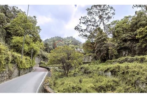 Byhus i Sintra, Lisbon, Sintra - € 1.200.000 | Ref: 613/2025 - foto 23