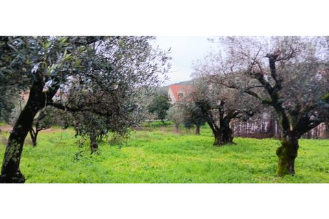 Villa i Macao, Santarem, Macao - € 18.500 | Ref: CAS_304 - foto 6