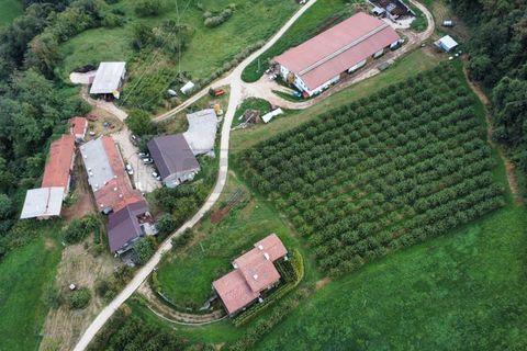 Villa i Chiampo, Vicenza, Chiampo - € 300.000 | Ref: BB--05 - foto 5