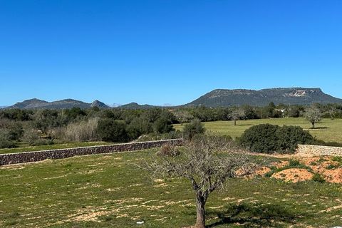 Finca i Llucmajor, Mallorca, Llucmajor - € 2.590.000 | Ref: FALC-CoMa-65720 - foto 10