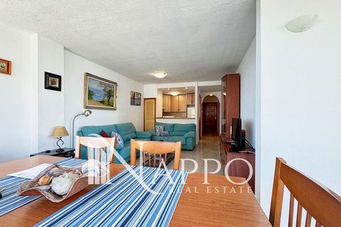 Lejlighed i Calvia, Mallorca, Calvia - € 725.000 | Ref: 3513 - foto 10