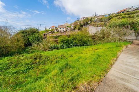 Helårsgrund i Ponta do Sol, Madeira, Ponta do Sol - € 60.000 | Ref: 081250020 - foto 4