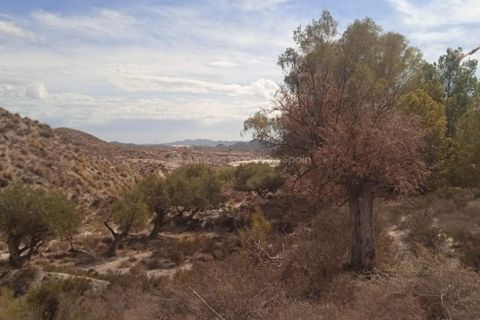 Farm hus i Partaloa, Almeria, Partaloa - € 380.000 | Ref: APS 1958 - foto 7