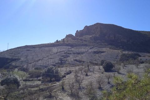 Farm hus i Albox, Almeria, Albox - € 110.000 | Ref: APS 1957 - foto 5