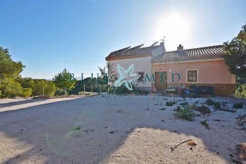 Landejendom i Morti, Murcia, Morti - € 315.000 | Ref: MORTIALTO1/10254 - foto 2