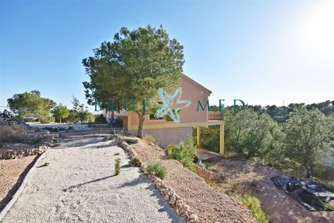 Landejendom i Morti, Murcia, Morti - € 315.000 | Ref: MORTIALTO1/10254 - foto 3