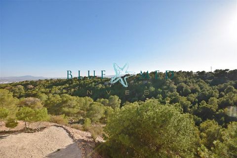 Landejendom i Morti, Murcia, Morti - € 315.000 | Ref: MORTIALTO1/10254 - foto 6
