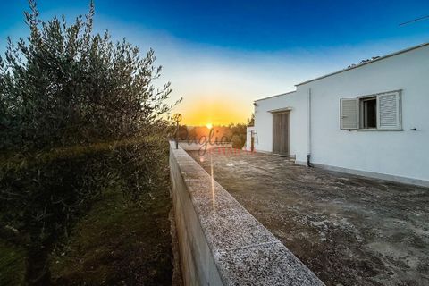 Landejendom i Cisternino, Brindisi, Cisternino - € 138.000 | Ref: 327 - foto 6
