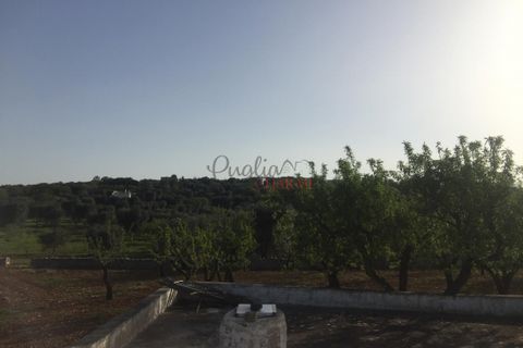 Landejendom i Ostuni, Brindisi, Ostuni - € 11.111.111 | Ref: 328 - foto 16