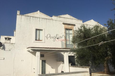 Landejendom i Ostuni, Brindisi, Ostuni - € 11.111.111 | Ref: 328 - foto 4