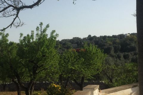 Landejendom i Ostuni, Brindisi, Ostuni - € 11.111.111 | Ref: 328 - foto 15