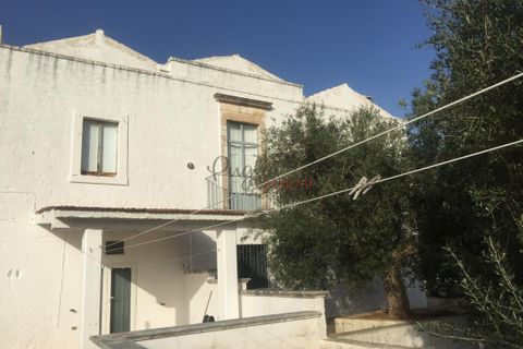 Landejendom i Ostuni, Brindisi, Ostuni - € 11.111.111 | Ref: 328 - foto 5