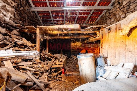 Villa a Celorico da Beira, Guarda, Celorico da Beira - € 19.900 | Ref: CAS_2188 - foto 12