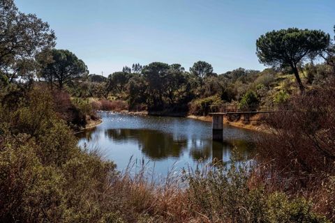 Masia a Alcacer do Sal, Setubal, Alcacer do Sal - € 980.000 | Ref: CB07-0041 - foto 5