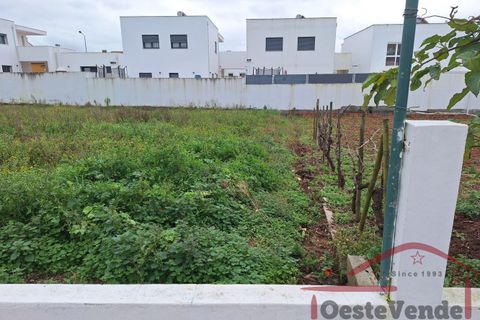 Helårsgrund i Cadaval, Lisbon, Cadaval - € 37.500 | Ref: 008-2025 - foto 4
