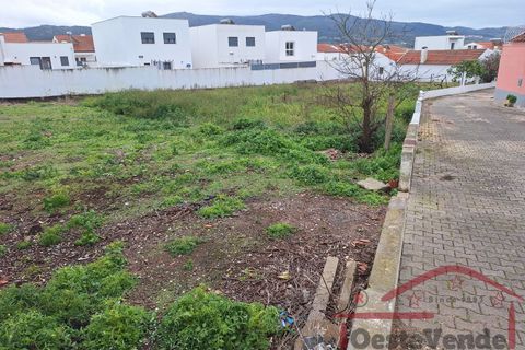 Helårsgrund i Cadaval, Lisbon, Cadaval - € 37.500 | Ref: 008-2025 - foto 5