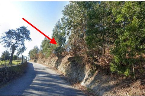 Helårsgrund i Paredes, Porto, Paredes - € 300.000 | Ref: WPS289 - foto 5