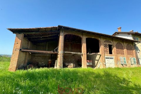 Landejendom i Antignano, Asti, Antignano - € 229.000 | Ref: ANTIGNANO229 - foto 24