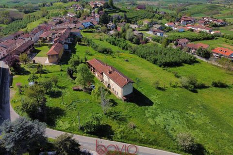 Landejendom i Antignano, Asti, Antignano - € 229.000 | Ref: ANTIGNANO229 - foto 26