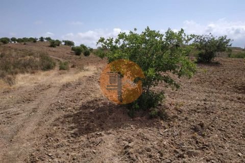 Helårsgrund i Castro Marim, Faro, Castro Marim - € 239.000 | Ref: SU-CS-TER-87154 - foto 8