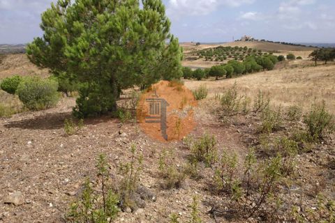 Helårsgrund i Castro Marim, Faro, Castro Marim - € 239.000 | Ref: SU-CS-TER-87154 - foto 22