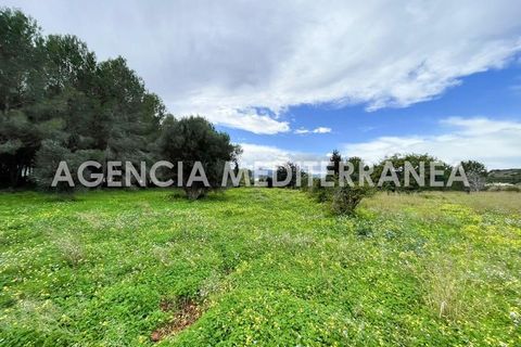 Helårsgrund i Beniarbeig, Alicante, Beniarbeig - € 150.000 | Ref: 5630/5940 - foto 2