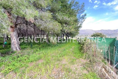 Helårsgrund i Beniarbeig, Alicante, Beniarbeig - € 150.000 | Ref: 5630/5940 - foto 5
