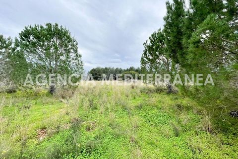 Helårsgrund i Beniarbeig, Alicante, Beniarbeig - € 150.000 | Ref: 5630/5940 - foto 6