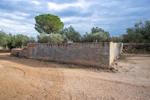 Tomt i Aldover, Tarragona, Aldover - € 23 000 | Ref: 176 - foto 9