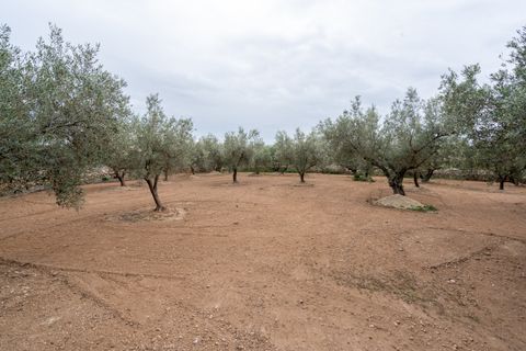 Tomt i Aldover, Tarragona, Aldover - € 23 000 | Ref: 176 - foto 14