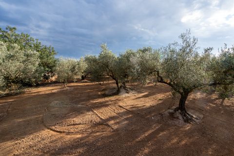 Tomt i Aldover, Tarragona, Aldover - € 23 000 | Ref: 176 - foto 4