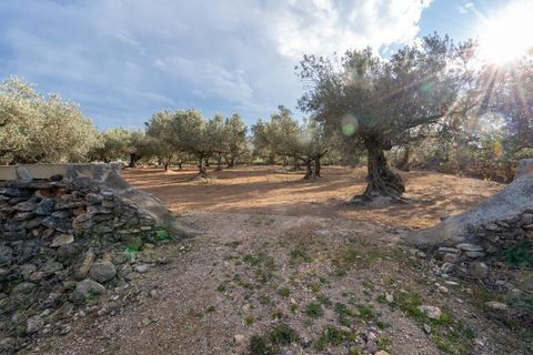 Tomt i Aldover, Tarragona, Aldover - € 23 000 | Ref: 176 - foto 3