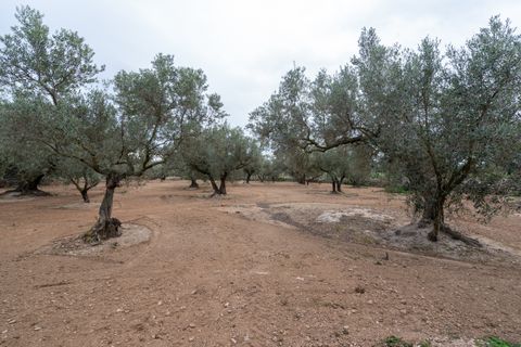 Tomt i Aldover, Tarragona, Aldover - € 23 000 | Ref: 176 - foto 15